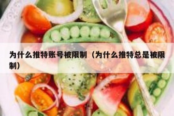为什么推特账号被限制（为什么推特总是被限制）
