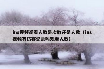ins视频观看人数是次数还是人数（ins视频有访客记录吗观看人数）