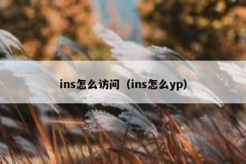 ins怎么访问（ins怎么yp）