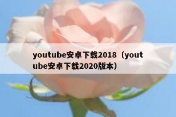 youtube安卓下载2018（youtube安卓下载2020版本）