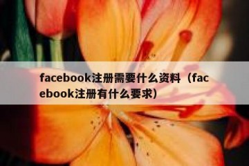 facebook注册需要什么资料（facebook注册有什么要求）