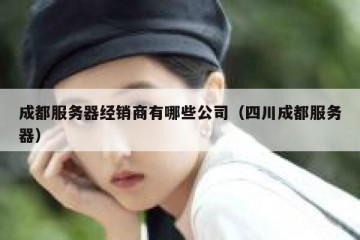 成都服务器经销商有哪些公司（四川成都服务器）