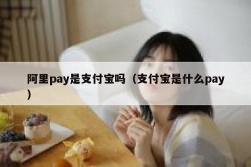 阿里pay是支付宝吗（支付宝是什么pay）