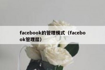 facebook的管理模式（facebook管理层）