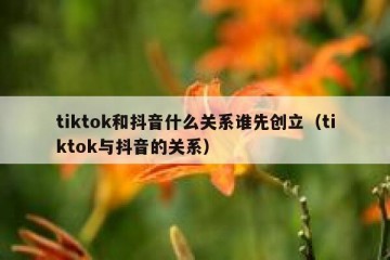 tiktok和抖音什么关系谁先创立（tiktok与抖音的关系）