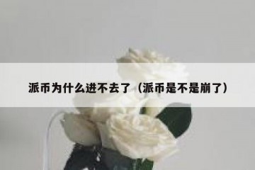 派币为什么进不去了（派币是不是崩了）