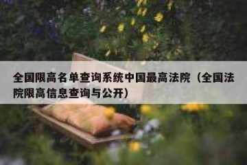 全国限高名单查询系统中国最高法院（全国法院限高信息查询与公开）