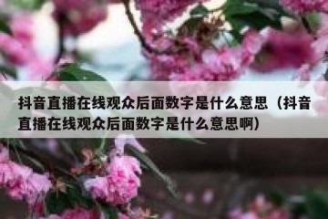 抖音直播在线观众后面数字是什么意思（抖音直播在线观众后面数字是什么意思啊）