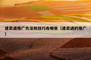 速卖通推广方法和技巧有哪些（速卖通的推广）