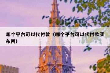 哪个平台可以代付款（哪个平台可以代付款买东西）