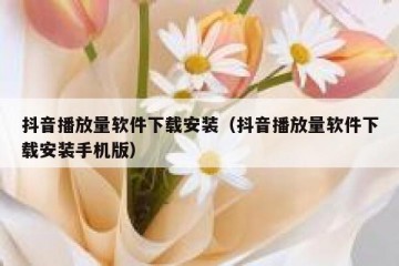 抖音播放量软件下载安装（抖音播放量软件下载安装手机版）