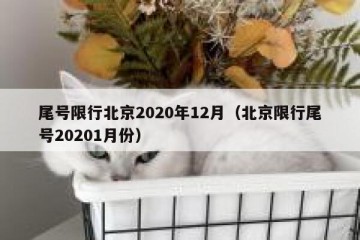 尾号限行北京2020年12月（北京限行尾号20201月份）