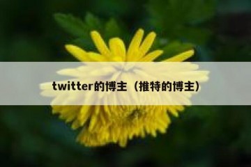 twitter的博主（推特的博主）