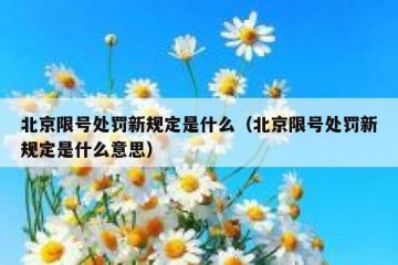 北京限号处罚新规定是什么（北京限号处罚新规定是什么意思）