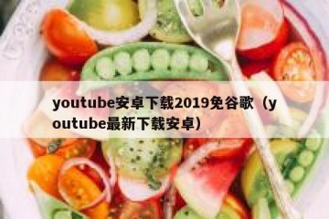 youtube安卓下载2019免谷歌（youtube最新下载安卓）