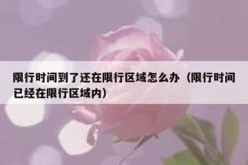 限行时间到了还在限行区域怎么办（限行时间已经在限行区域内）