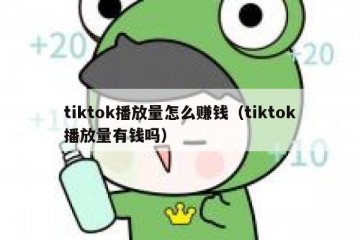 tiktok播放量怎么赚钱（tiktok播放量有钱吗）