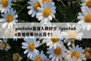 youtube直播人数好少（youtube直播观看30元百个）