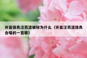 许嵩徐良汪苏泷被称为什么（许嵩汪苏泷徐良合唱的一首歌）
