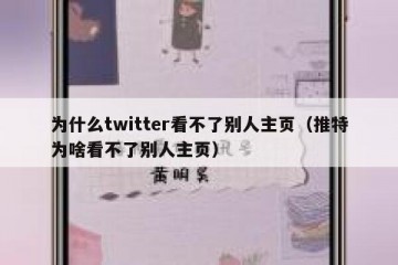为什么twitter看不了别人主页（推特为啥看不了别人主页）