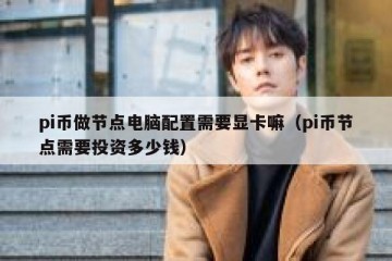 pi币做节点电脑配置需要显卡嘛（pi币节点需要投资多少钱）