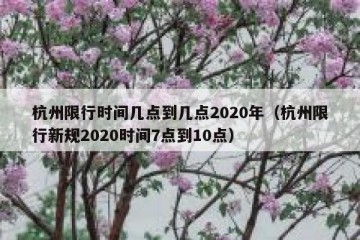 杭州限行时间几点到几点2020年（杭州限行新规2020时间7点到10点）