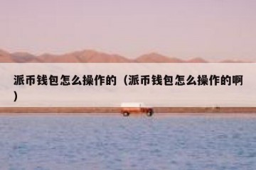 派币钱包怎么操作的（派币钱包怎么操作的啊）