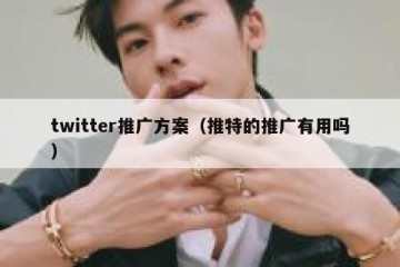 twitter推广方案（推特的推广有用吗）