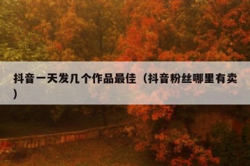 抖音一天发几个作品最佳（抖音粉丝哪里有卖）