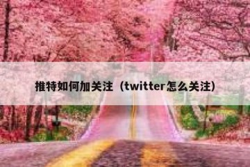 推特如何加关注（twitter怎么关注）