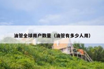 油管全球用户数量（油管有多少人用）