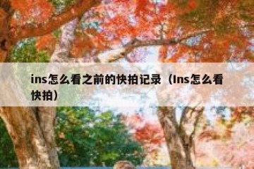 ins怎么看之前的快拍记录（Ins怎么看快拍）
