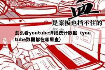 怎么看youtube详细统计数据（youtube数据都在哪里查）