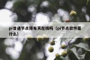 pi普通节点得每天在线吗（pi节点软件是什么）
