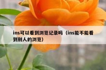 ins可以看到浏览记录吗（ins能不能看到别人的浏览）