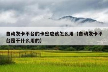 自动发卡平台的卡密应该怎么用（自动发卡平台是干什么用的）
