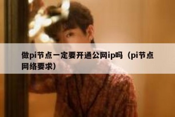 做pi节点一定要开通公网ip吗（pi节点网络要求）
