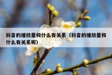 抖音的播放量和什么有关系（抖音的播放量和什么有关系呢）