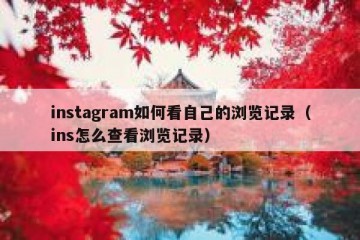 instagram如何看自己的浏览记录（ins怎么查看浏览记录）
