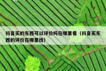 抖音买的东西可以评价吗在哪里看（抖音买东西的评价在哪里找）