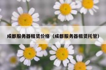 成都服务器租赁价格（成都服务器租赁托管）