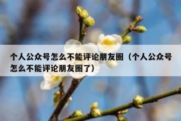 个人公众号怎么不能评论朋友圈（个人公众号怎么不能评论朋友圈了）