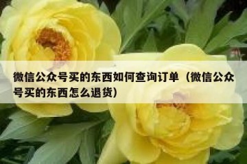 微信公众号买的东西如何查询订单（微信公众号买的东西怎么退货）