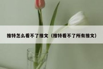 推特怎么看不了推文（推特看不了所有推文）