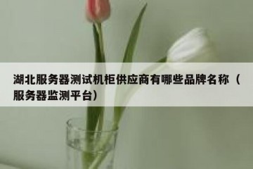 湖北服务器测试机柜供应商有哪些品牌名称（服务器监测平台）