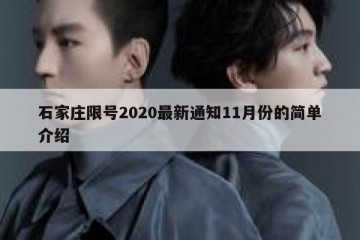 石家庄限号2020最新通知11月份的简单介绍