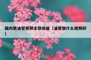 国内做油管视频主获收益（油管做什么视频好）