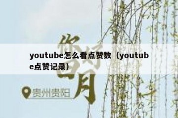 youtube怎么看点赞数（youtube点赞记录）