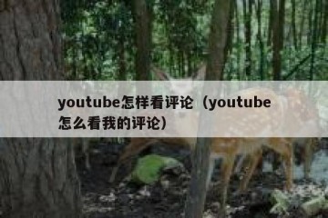 youtube怎样看评论（youtube怎么看我的评论）