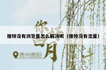 推特没有浏览量怎么解决呢（推特没有流量）